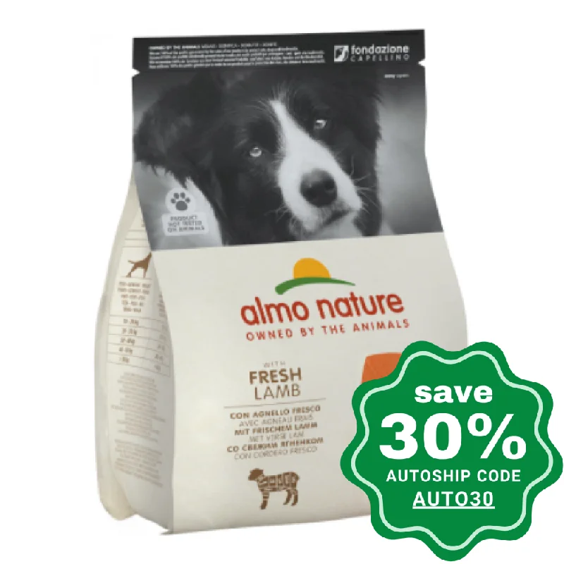 Almo Nature - Dry Food for Medium/Large Dogs - Holistic - Lamb - 2KG (min. 3 packs)