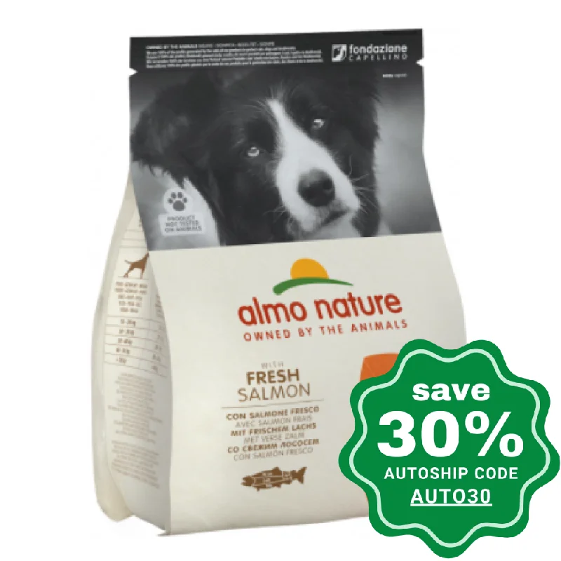 Almo Nature - Dry Food for Medium/Large Dogs - Holistic - Salmon - 2KG (min. 3 packs)