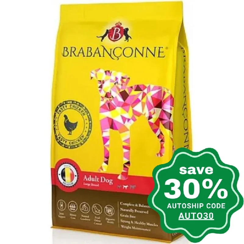 Brabanconne - Regular Diet - Adult Dog Large Breed Tasty Chicken - 10KG