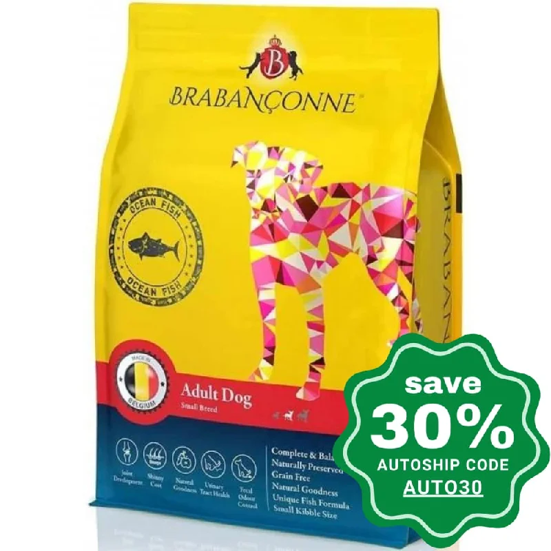 Brabanconne - Regular Diet - Adult Dog Small Breed Ocean Fish - 2.5KG