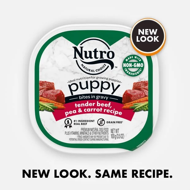 Nutro Bites in Gravy Tender Beef, Pea & Carrot Recipe Wet Dog Food