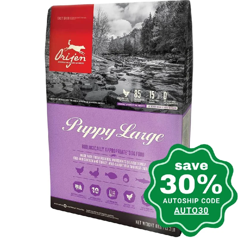 Orijen - Dog Food for Large Puppy - 6KG