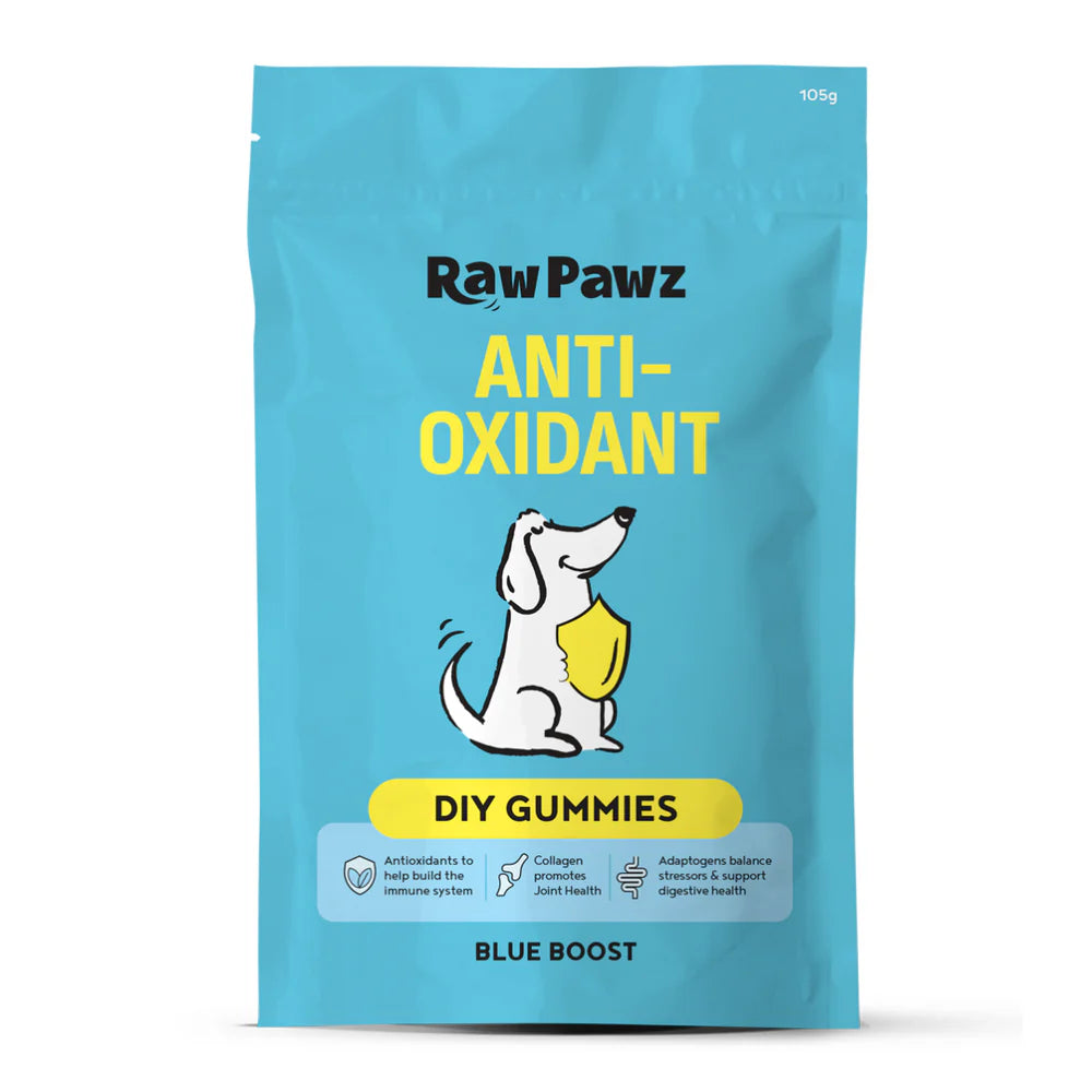 Raw Pawz DIY Gummies Blue Boost Dog Treats 90g