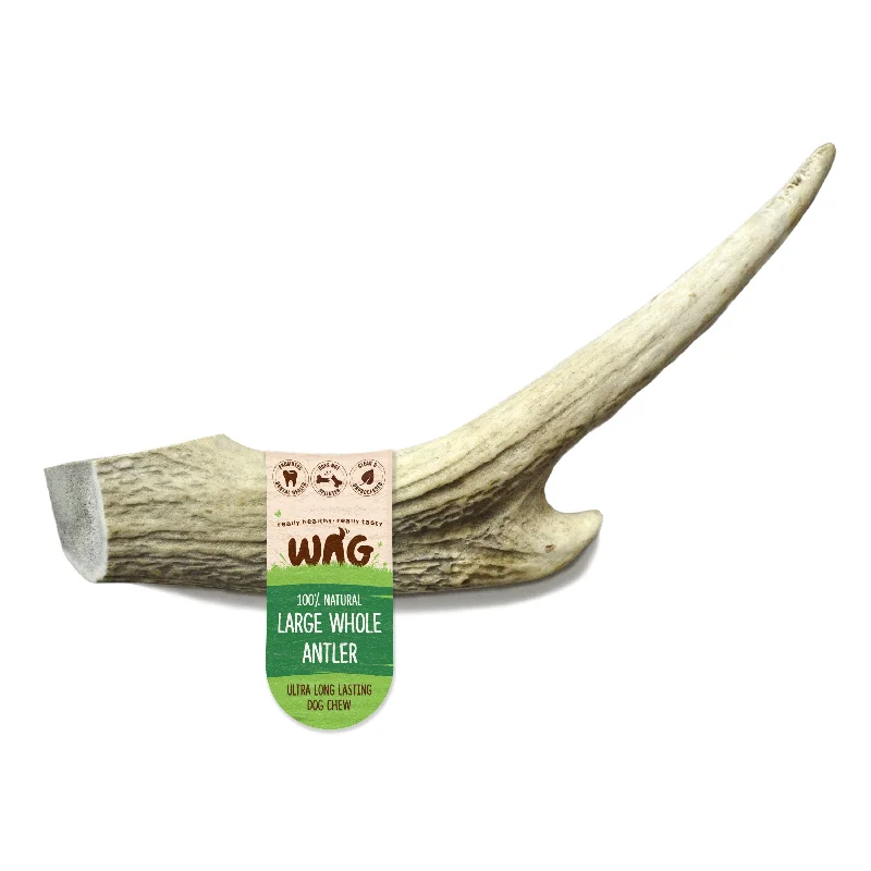 Wag Whole Antler Large Dog Chew Treat