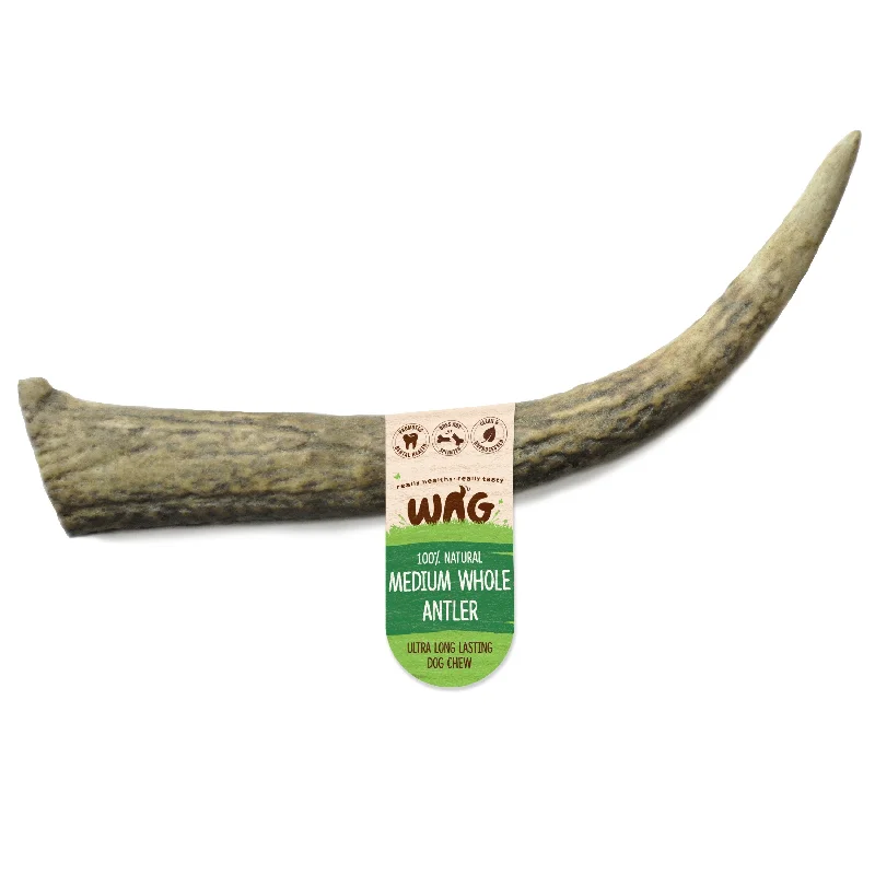 Wag Whole Antler Medium Dog Chew Treat