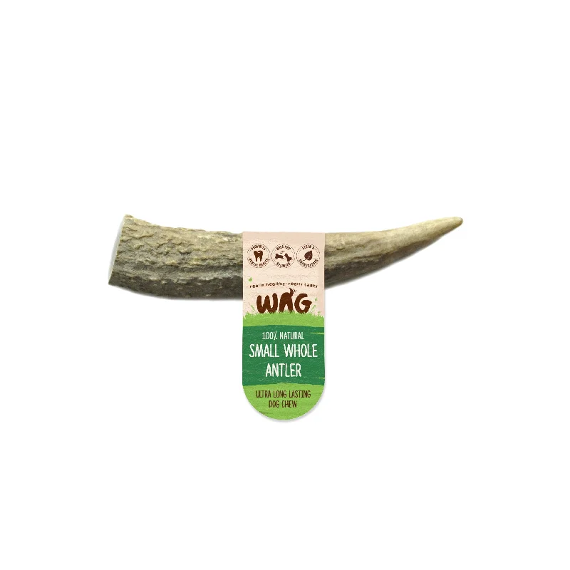 Wag Whole Antler Small Dog Chew Treat