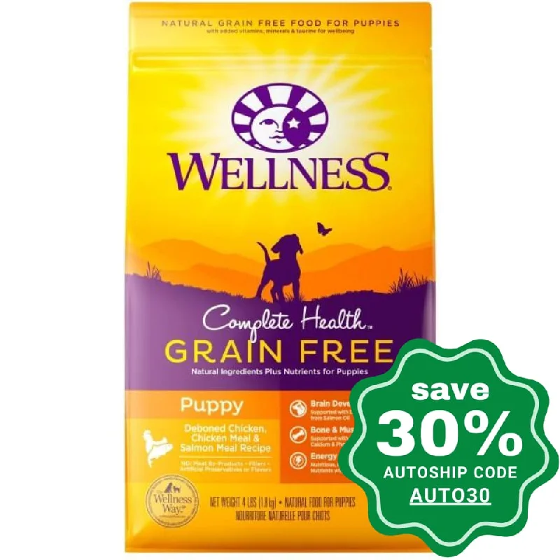 Wellness - Complete Health - Grain Free Dry Dog Food - Puppy Deboned Chicken, Chicken Meal & Salmon Meal - 12LB