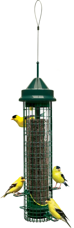 Brome Bird Care Inc Squirrel Buster Finch Bird Feeder