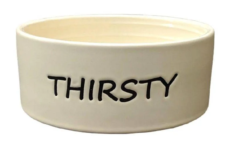 Spot Thirsty Dog Dish Water Bowl - 1 count 5" wide