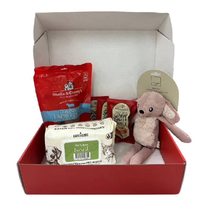 Stella & Chewy's Dog Starter Box - Lamb